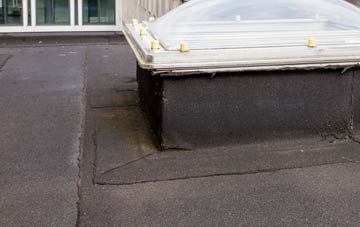 disadvantages of Ryecroft Gate flat roofs