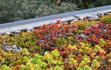 the cost of Ryecroft Gate green roof installation