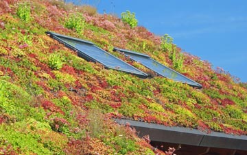 Ryecroft Gate living roof systems