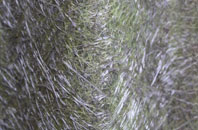 Ryecroft Gate fibreglass roof work